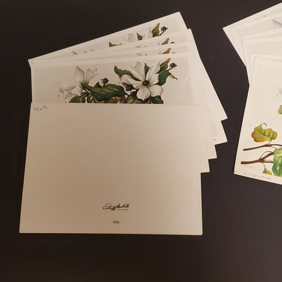 Greeting Cards - Unused (11) Austin Marshall - Picture 5 of 6